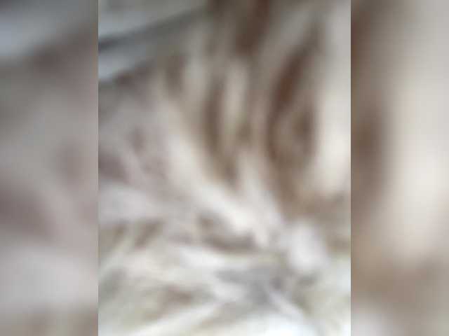 miss-milka's BongaCams show and profile