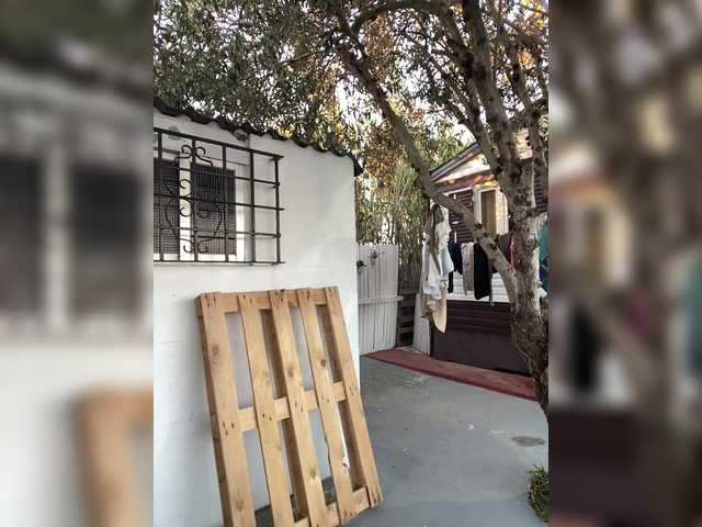 miss-milka's BongaCams show and profile