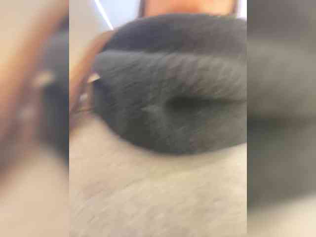 MilkaMilfMilka MilkaMilfMilka