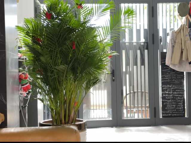 go to chat with MaryGii