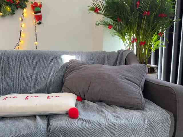 FlyingDutchmana FlyingDutchmana