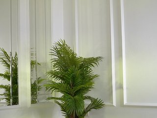 SashaPariss Porn Show