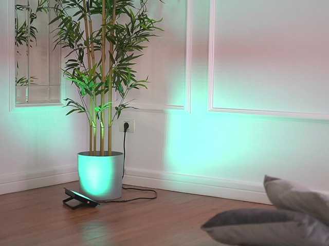 ellacandy's BongaCams show and profile