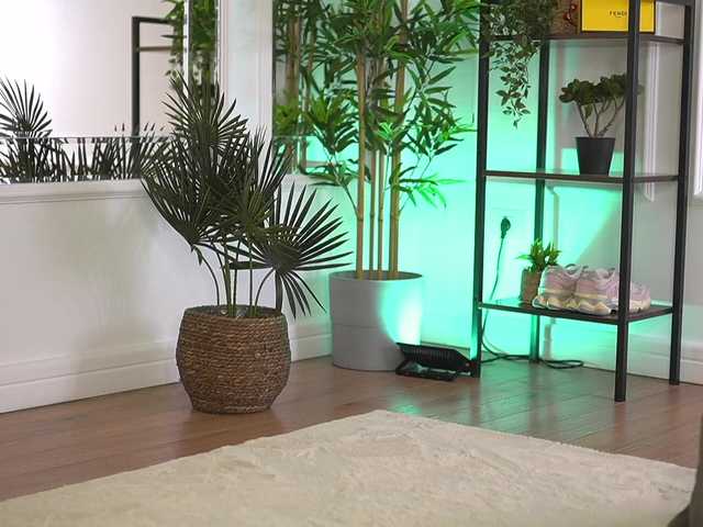 ellacandy's BongaCams show and profile