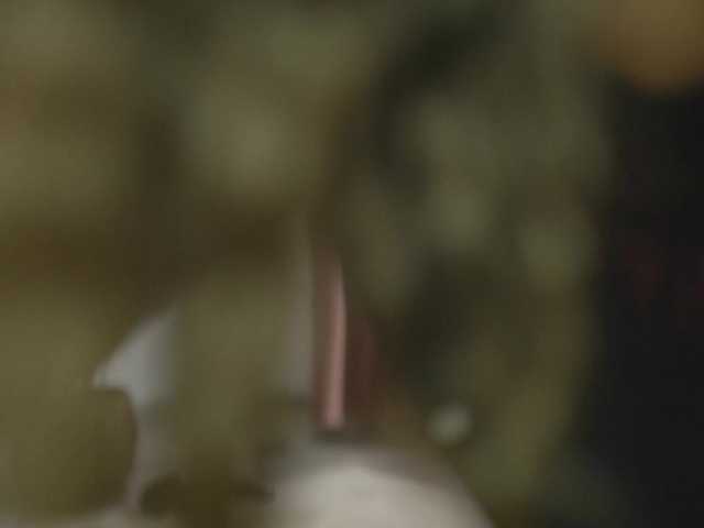 ellacandy's BongaCams show and profile