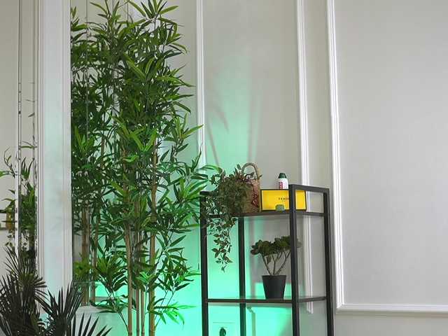 ellacandy's BongaCams show and profile