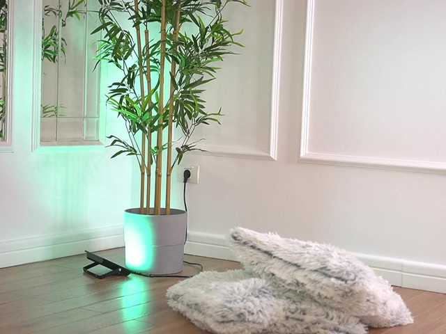 ellacandy's BongaCams show and profile