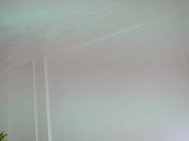 ellacandy's BongaCams show and profile