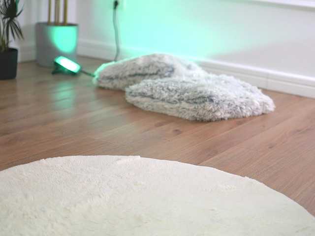 ellacandy's BongaCams show and profile