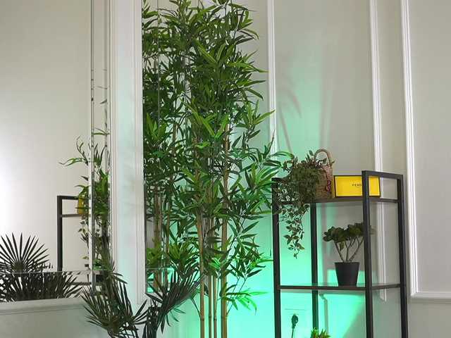 ellacandy's BongaCams show and profile