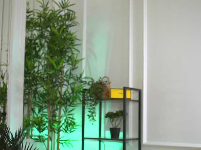 ellacandy's BongaCams show and profile