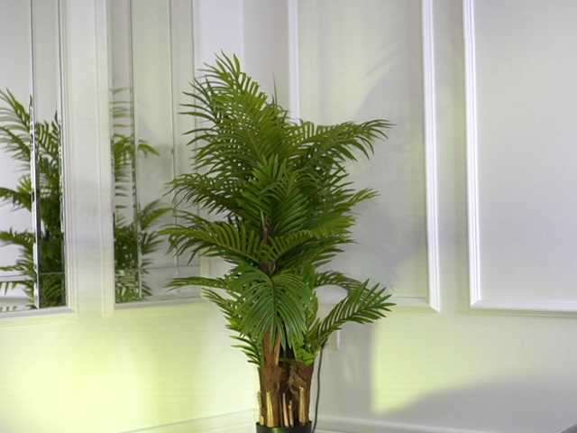 ellacandy from BongaCams is Freechat