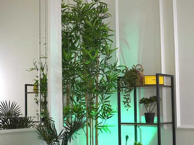 ellacandy's BongaCams show and profile