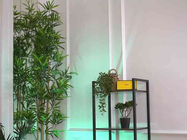 cam chat room Ellacandy