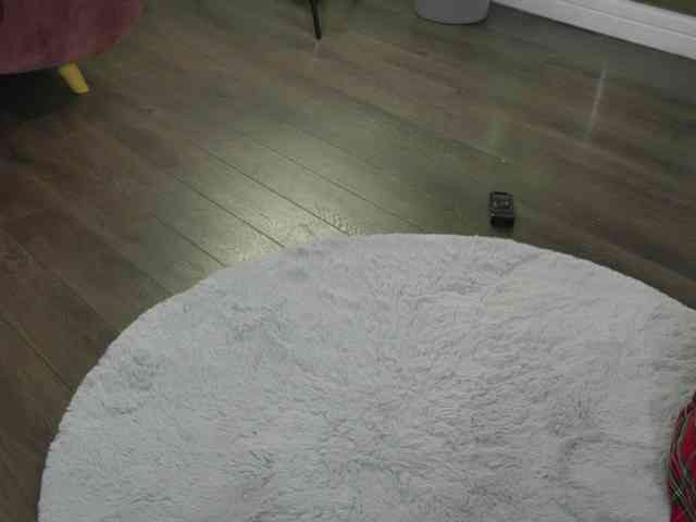 SashaPariss webcam