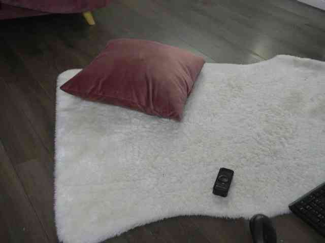 SashaPariss webcam
