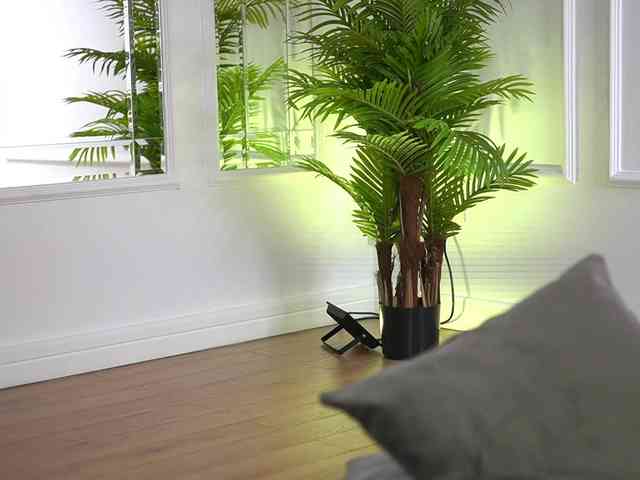 SashaPariss webcam