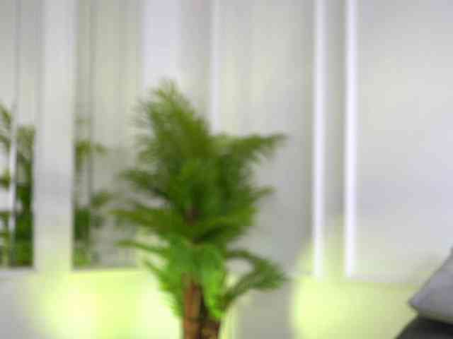 SashaPariss webcam