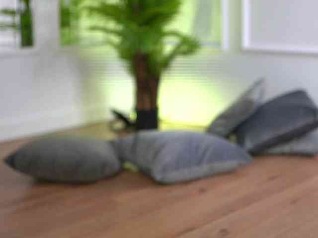 SashaPariss webcam