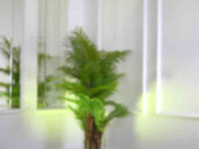 SashaPariss webcam