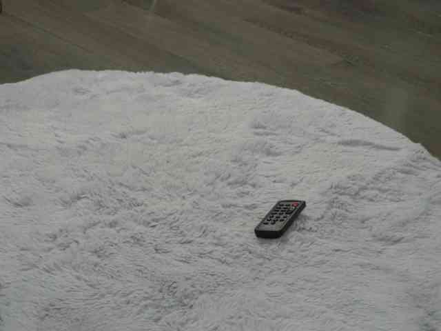 SashaPariss webcam