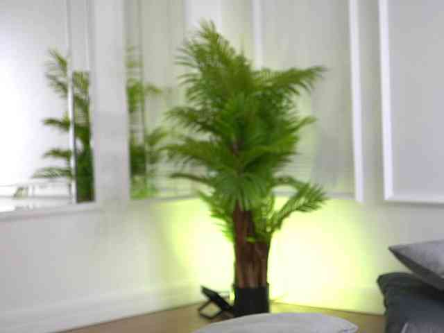 SashaPariss webcam