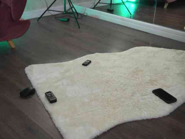 SashaPariss webcam