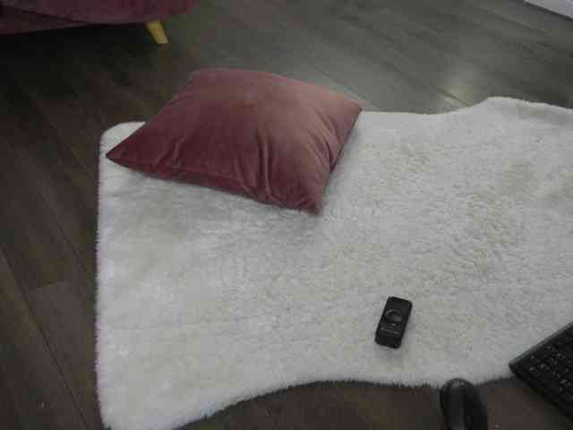 SashaPariss webcam