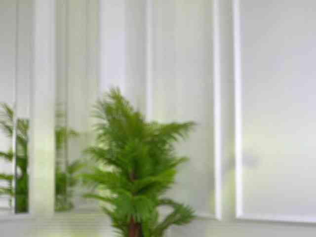 SashaPariss webcam