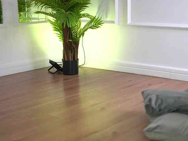 SashaPariss webcam