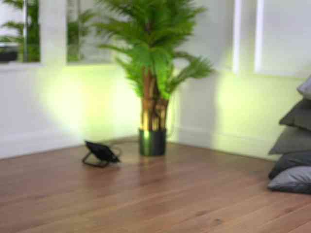 SashaPariss webcam
