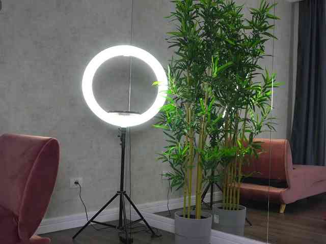 SashaPariss webcam