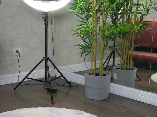 SashaPariss webcam