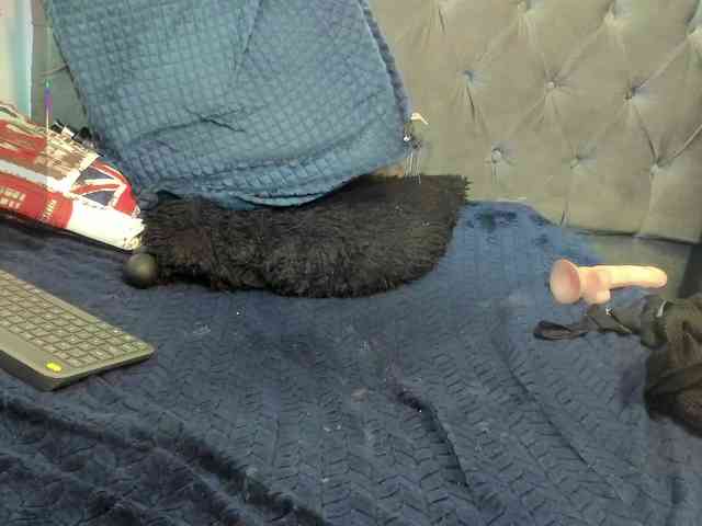 Amberr35 webcam