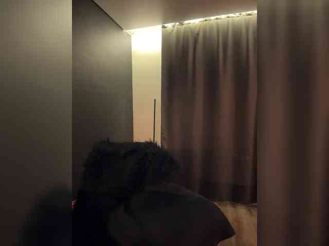 polyamur webcam