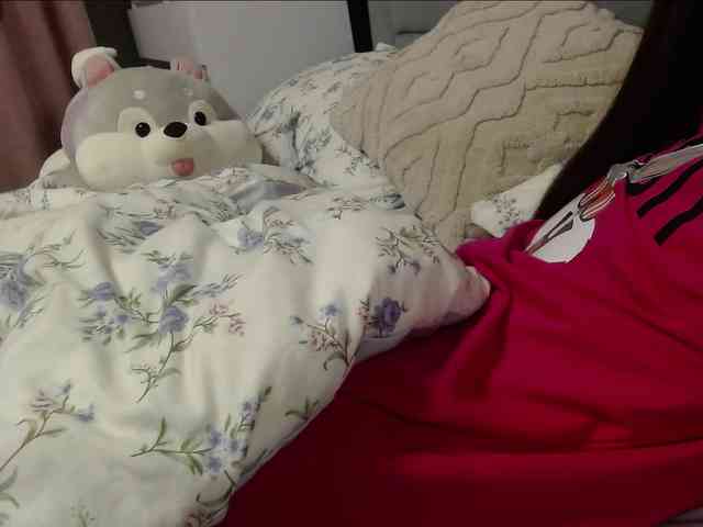 Monika-X webcam