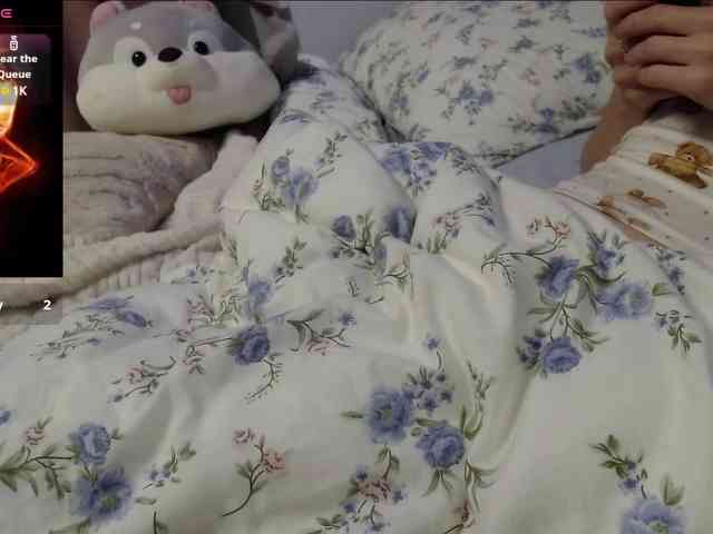Monika-X webcam