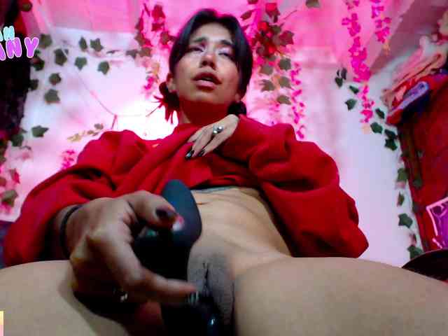 roxanbunny roxanbunny