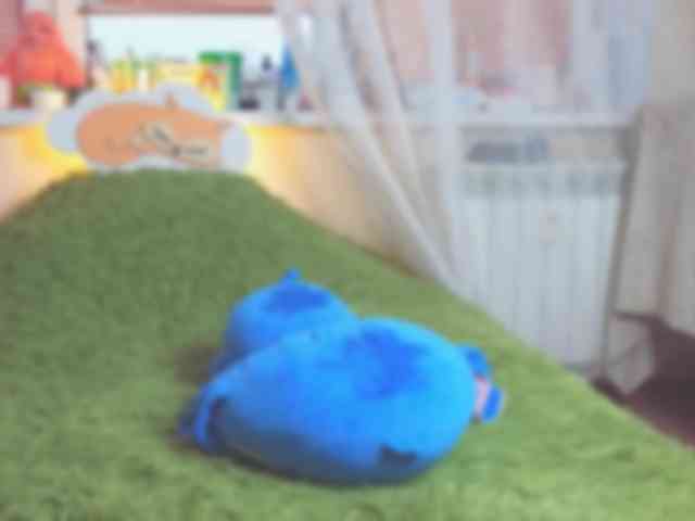 alisabelly alisabelly