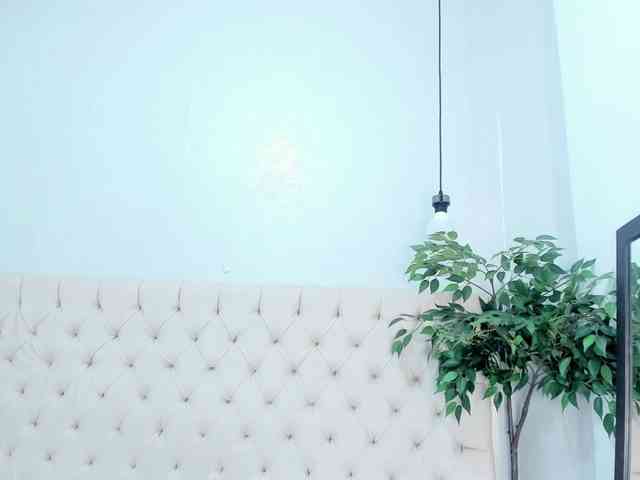 Victoria-Coleman webcam