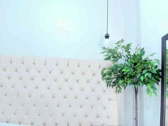 Victoria-Coleman webcam