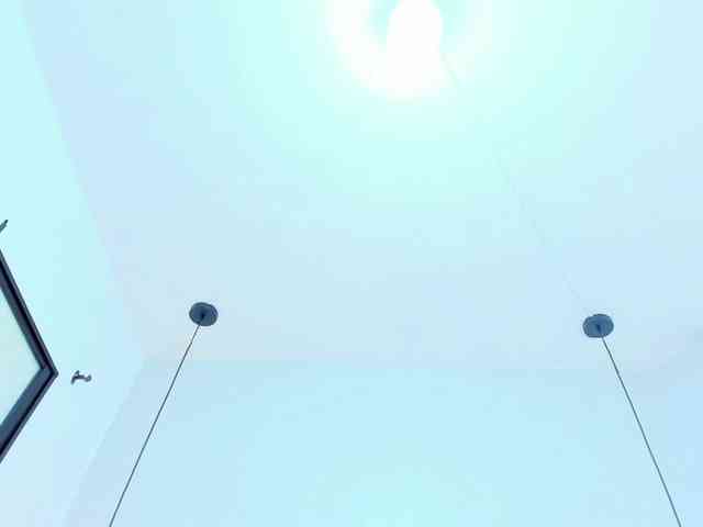 Victoria-Coleman webcam