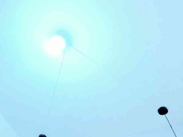 Victoria-Coleman webcam