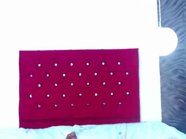 Victoria-Coleman webcam