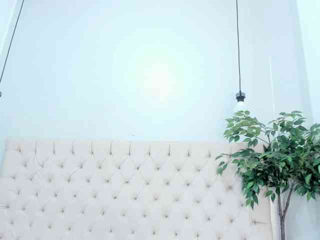 Victoria-Coleman webcam