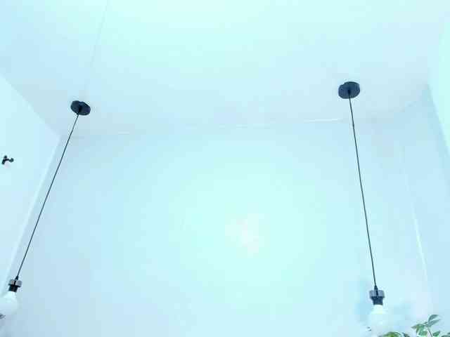 Victoria-Coleman webcam