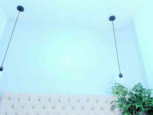 Victoria-Coleman webcam