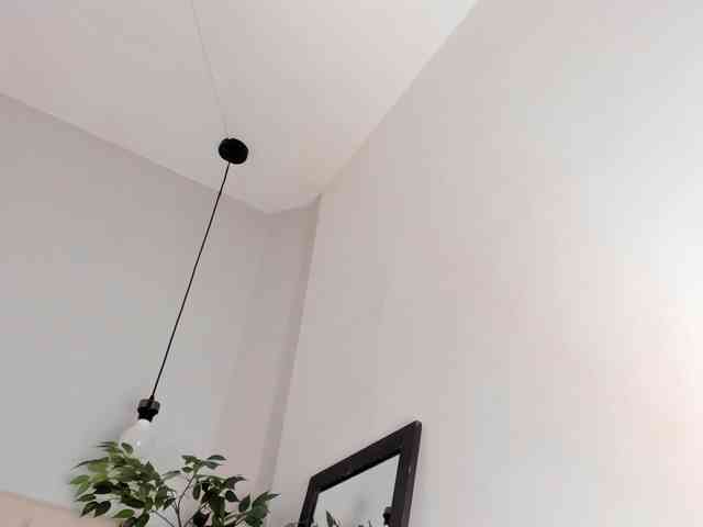 Victoria-Coleman webcam