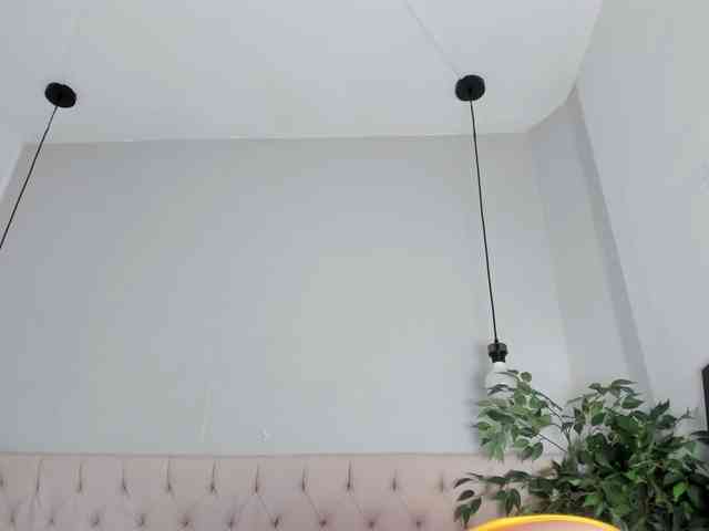 Victoria-Coleman webcam