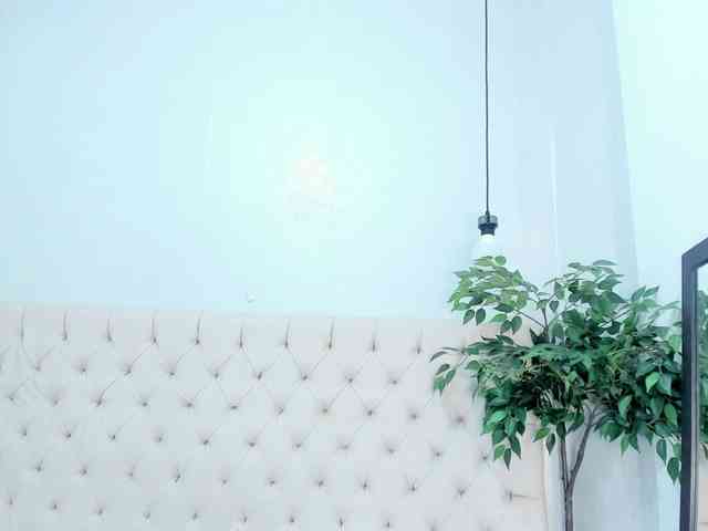 Victoria-Coleman webcam